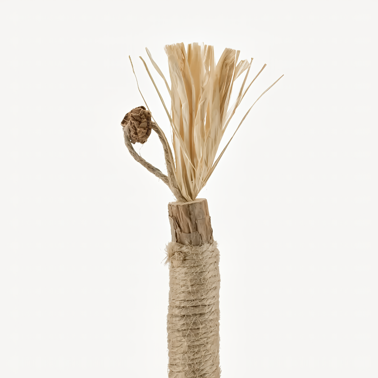 NEGUSY Natural Silvervine Dental Sticks– The Ultimate 100% Natural Cat Toy & Teeth Cleaner