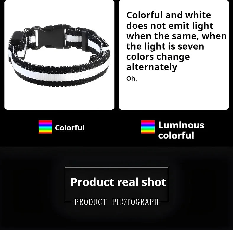 ✨ LED Light-Up Dog Collar – Rechargeable Flashing Night Safety Glow Collar for Dogs 🐕🔦