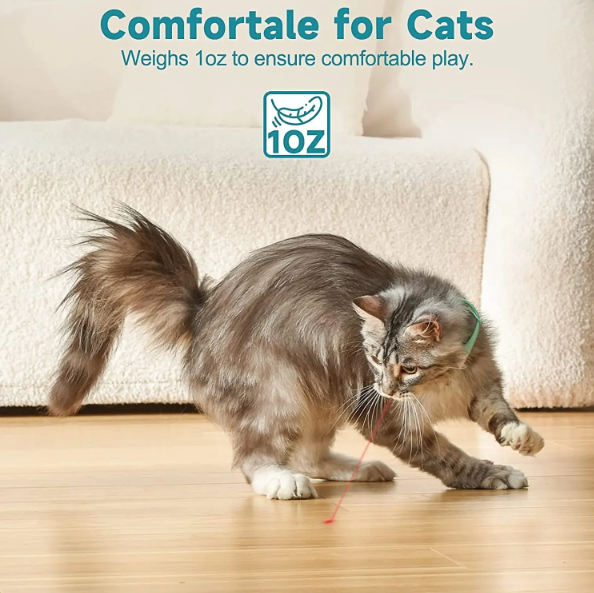 🔥 last day buy 2 get 2 free⚡“Keep Your Cat Entertained All Day — Even When You’re Busy 🐈