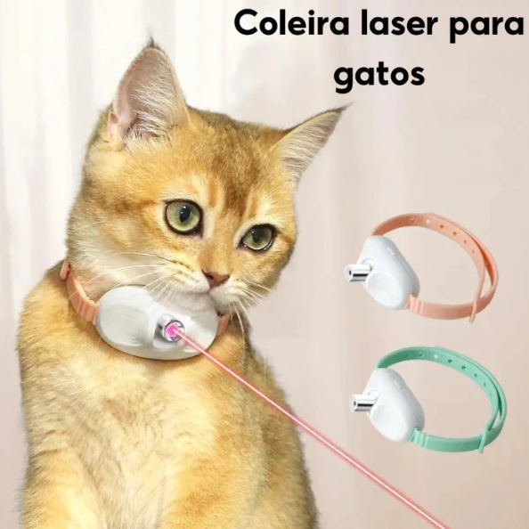🔥 last day buy 2 get 2 free⚡“Keep Your Cat Entertained All Day — Even When You’re Busy 🐈