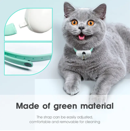 🔥 last day buy 2 get 2 free⚡“Keep Your Cat Entertained All Day — Even When You’re Busy 🐈